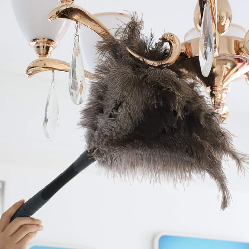 Ostrich Feather Duster, Big and Soft and Fluffy Duster,22 inch (Gray)...