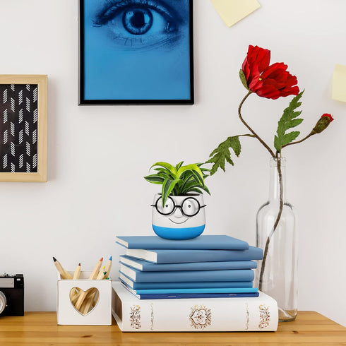 PRETYZOOM Ceramic Plant Pot Eyeglasses Design: Bonsai Pot Flower Pot Succulent Planter Plant Container Pen Brush Holder Cup...