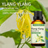 Ylang Ylang Essential Oil 3.38 oz, 100% Pure Ylang Ylang Aromatherapy Oil for Diffuser, Perfumes, Massage, Soap Making...