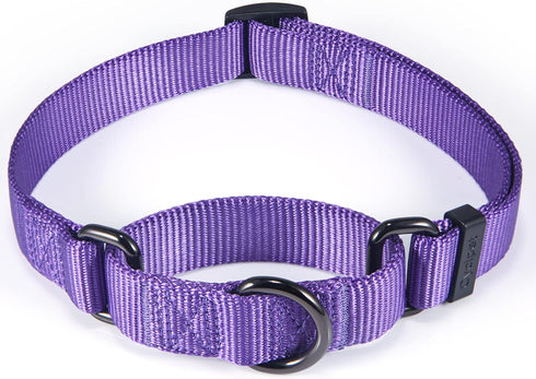 Nylon Adjustable Martingale Dog Collars,Comfort and Silky Escape Proof Training Dog Collar with Heavy Duty Metal D-Ring for Active Dogs. (Ultra Vi...