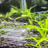 6-Tube Fish Shrimp Feeder Glass Breeding Tube, Aquarium Fish Tank Pipe Shelter Tube Fish Tank Shelter Decorations...