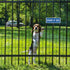 Beware of Dog Signs for Fence, (2 Pack) Metal Dog Beware Signs, 10" x 3.5" Aluminum Dog Warning Sign, Outdoor Dog Gate Sign, Rust Free Guard Dog S...