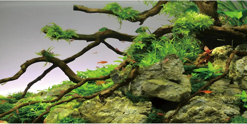 AWERT 36x18 inches Branches Aquarium Background Stone River Bed & Lake Fish Tank Background Green Algae Aquarium Background Vinyl Background...