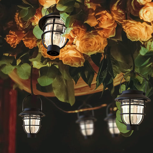 2 Pack Solar Pathway Lights Outdoor - Bright Solar Powered Garden Lights with Warm White LED, Auto On/Off Waterproof Path Lights Decorative, Lands...