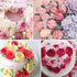 6Pcs Cake Flower Nail Trays Holder Stainless Steel Cake Decorating Supplies Flower Lifters for Icing Flowers Decoration Cake Baking DIY Tools, 2 S...