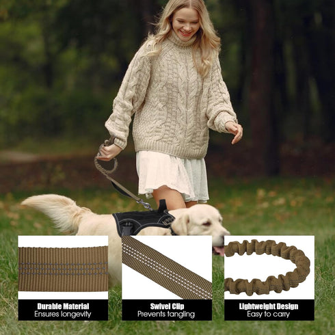 BUMBIN 6Ft Dog Leash Large Dogs, Bungee Dog Leash with 2 Handles, Heavy Duty Dog Leashes for Medium Small Dogs, No Pull Shock Absorbing Dog Leash ...