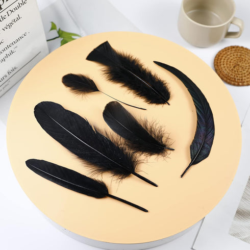 Larryhot Black Craft Feathers Bulk - 240pcs 6 Style Mixed Natural Feathers for Wedding Home Party, Dream Catcher Supplies and DIY Crafts (Black)...