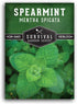 Survival Garden Seeds - Spearmint Seed for Planting - Mentha Spicata Packet with Instructions to Plant Delicious Herbs and Grow Your Home Herb Gar...