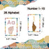 YIYDONG Sign Language Bulletin Board Letters - 36 ASL Alphabet Learning ABC Alphabet Poster Classroom Decor Cards Set Kindergarten/Primary School ...