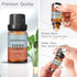 Brown Sugar Fragrance Oil, Premium Grade Scented Oil for Aroma Diffusers, Perfume, Candle and Soap Making - 10ml...