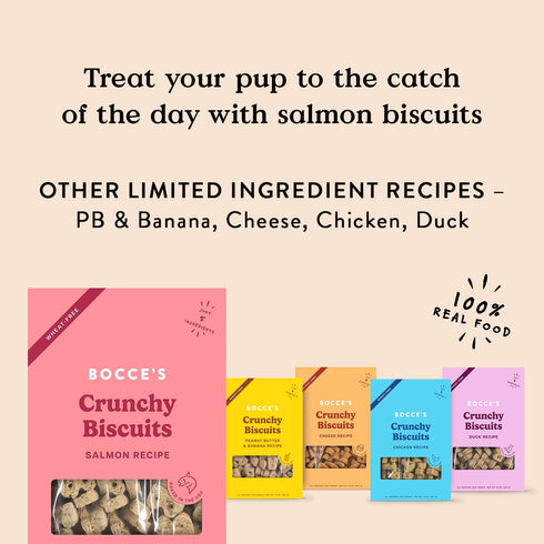 Bocce's Bakery Oven Baked Salmon Recipe Treats for Dogs, Wheat-Free Dog Treats, Made with Real Ingredients, Baked in The USA, All-Natural Salmon, ...