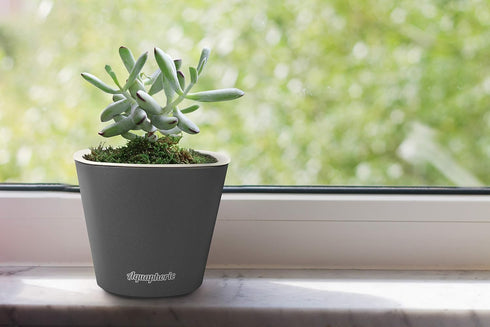Window Garden – Aquaphoric Self Watering Mini Planter Pots (3 Pack) – Grow On Indoor Sill. Perfect for Potting Small Plants, Herbs, African Violet...