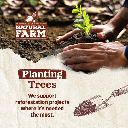 Natural Farm Gullet Sticks (6 Inch, 25 Pack), Grain-Free, Preservative-Free & Fully Digestible Beef Esophagus – Gentle Yet Effective Fun - Best fo...