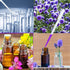 200PCS 3ML Disposable Plastic Pipette Essential Oil Pipette for DIY and Scientific Laboratory Transfer Pipettes...