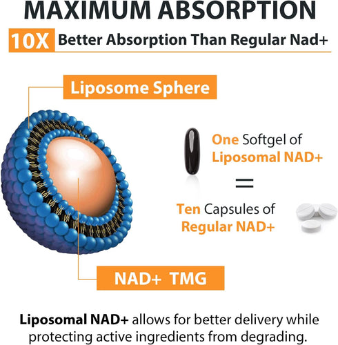 Liposomal NAD+ Supplement 500 mg, High Absorption, Boost NAD+ with TMG 250 mg, Actual NAD plus More Efficient Than Nicotinamide Riboside, Support ...