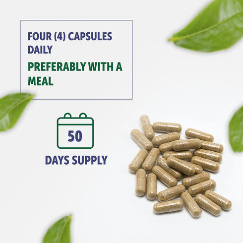 Bilberry Extract Capsules 5000mg | 200 Count | Supports Eye Health | Ultra Strength Supplement | Gluten-Free & Non-GMO...