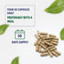 Bilberry Extract Capsules 5000mg | 200 Count | Supports Eye Health | Ultra Strength Supplement | Gluten-Free & Non-GMO...