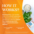 Doctors BEST Benfotiamine 150, Supports Glycemic Balance & Metabolic Response, Non-GMO, Gluten Free, Soy Free, Vegan 120 Veggie Caps...