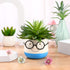 PRETYZOOM Ceramic Plant Pot Eyeglasses Design: Bonsai Pot Flower Pot Succulent Planter Plant Container Pen Brush Holder Cup...