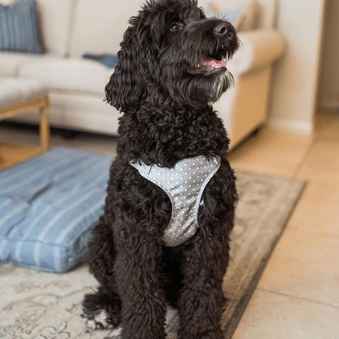 Vera Bradley Women's Recycled Lighten Up Water-repellent Adjustable Pet Harness With Fleece Lining, Tiny Turtle Dream, Small...