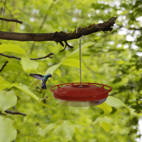 Hummingbirds Feeders for Outdoors Hanging – Bird Feeder with 5 Feeding Ports – Heavy Duty Plastic Humming Bird Feeder with Alloy Steel Hanging Rod...