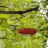 Hummingbirds Feeders for Outdoors Hanging – Bird Feeder with 5 Feeding Ports – Heavy Duty Plastic Humming Bird Feeder with Alloy Steel Hanging Rod...