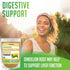 XPRS Nutra Organic Dandelion Root Powder - Vegan Friendly Antioxidant Power for Liver Support - Dandelion Root for Tea and Beverages - Immune Boos...