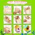 Birdhouse Crafts for Kids - 2 Pack Birdhouse Kit to Paint Wooden Bird House for Adults to Build Prefab House Kit Bird House Kits for Kids Ages 8-1...