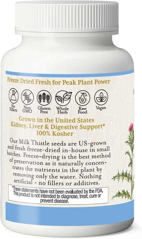 Eclectic Institute Raw Freeze-Dried Non-GMO Milk Thistle | with Silymarin for Liver Support - Detox, Cleanse & Maintain | 240 CT...