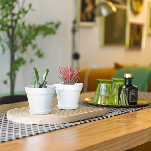 T4U 4 Inch Plant Pots 18-Pack - Small Plastic Planter with Drainage Hole and Saucer, Decorative Nursery Flower Pot Bulk for African Violet, Snake ...