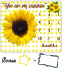 Baby Monthly Milestone Blanket for Baby,You are My Sunshine Sunflower Baby Monthly Milestone Blanket,Baby Month Blanket for Baby,Baby Growth Chart...