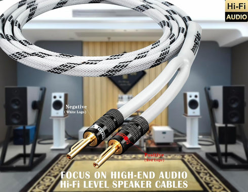 14 AWG Speaker Cable Wire with Gold-Plated Banana Tip Plugs (3 Feet) - 99.99% Oxygen-Free Copper (OFC) - in-Wall CL2 Rated, Heavy Duty Braided - W...