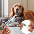 2 Pieces Pill Popper for Cats, Pet Pill Shooter Pill Poppers for Dogs Cat Pill Popper Dog Pill Shooter Pet Pill Dispenser Feeding Tool for Dogs Ca...