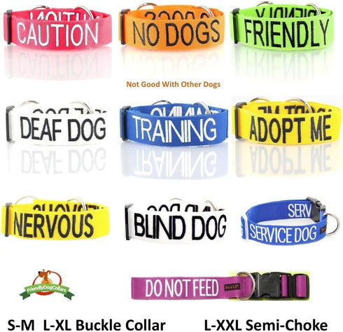 FRIENDLY Green Color Coded 2 4 6 Foot Padded Dog Leash (Known As Friendly) PREVENTS Accidents By Warning Others of Your Dog in Advance (Standard L...