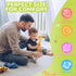 Baby Montessori Sensory Teething Toys for 3-6 6-12 Months, Food Grade Baby Teether, Newborn Infant Rattle Toys, Baby Shower Gifts, Learning Educat...