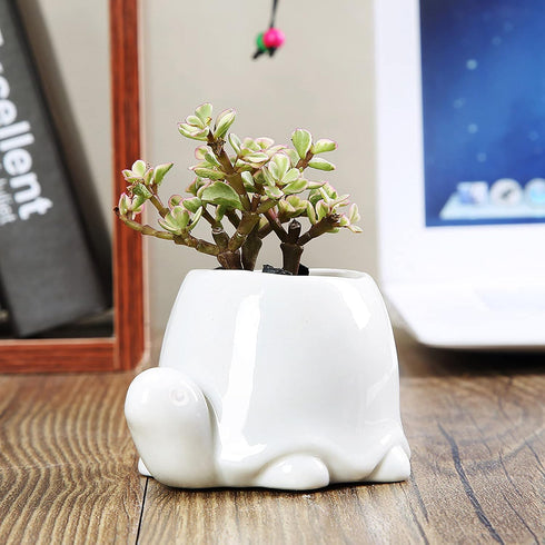 GeLive White Turtle Ceramic Succulent Planter, Tortoise Plant Pot, Windowsill Box, Animal Flower Container, Tabletop Decor with Drainage Hole (Set...