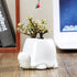 GeLive White Turtle Ceramic Succulent Planter, Tortoise Plant Pot, Windowsill Box, Animal Flower Container, Tabletop Decor with Drainage Hole (Set...