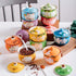 FUYU Hand-painted Flower Ceramic Condiment Pot Seasoning Jar Sugar Bowl with Lid and Spoon...