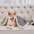 Qeils Dog Blankets for Small Dogs - Waterproof Cat Blanket Washable - Sherpa Fleece Puppy Blanket, Soft Plush Reversible Throw Protector for Bed C...