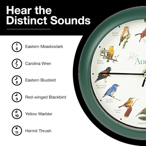 Mark Feldstein, Audubon Singing Bird Clock, 8 Inch, Green...