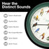 Mark Feldstein, Audubon Singing Bird Clock, 8 Inch, Green...