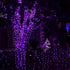 Dazzle Bright Fairy String Lights, 20 FT 60 LED Copper Wire Battery Operated Waterproof Lights, Halloween Decorations for Indoor Home Room Outdoor...