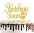 Hatching Soon Pregnancy Cake Topper Double Sided Gold Glitter Farm Themed Dinosaur Baby Shower Party Decorations...