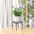 1 PCS Plant Stand, Heavy Duty Metal Stand Decorates Plants, Flower Pot Stand against rusting, Round Plant Rack for Room Indoor and Outdoor Courtya...