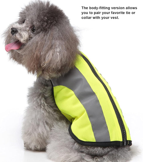 Pet Night Safety Clothing Glowing Jacket, Reflective Glowing Dog Vest Adjustable Soft Padded Vest Zipper Suit for Small, Medium, Large Dogs (L-Flu...