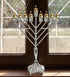 Ner Mitzvah Hanukkah Menorah Glass Oil Cups - Elegant Holders for Oil for Shabbos and Chanukah – Durable Quality, Long-Lasting - Size #3 (9-Pack)...