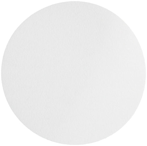 Omicron 130025 Borosilicate Glass Fiber Binder Free Filter, 1.6 ?m, 25 mm (Pack of 100)...