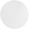 Omicron 130025 Borosilicate Glass Fiber Binder Free Filter, 1.6 ?m, 25 mm (Pack of 100)...