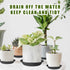 Plastic Plant Saucer 5.8" (4.5" at Base), 6 Pack Singe Size, Thick 6 8 10 12 inch Plant Water Catcher Tray for Indoors Potted Plant Drainage Drip ...