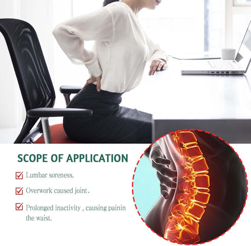 Lumbar Vertebra Patches, Herbal Wormwood, Back and Spine Support, Muscle and Joint Comfort, Non-Invasive Management, 24Pcs...